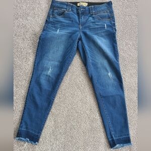 Democracy Distressed Blue Skinny Jeans